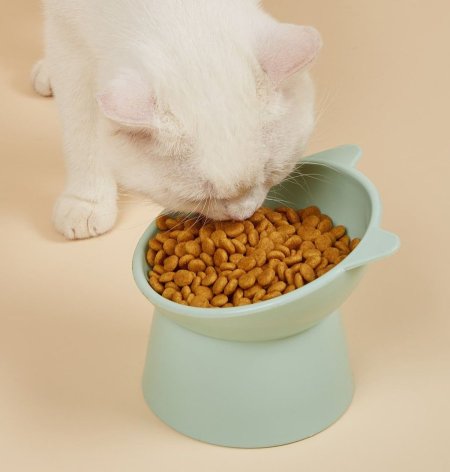 صحن قطط ستاند